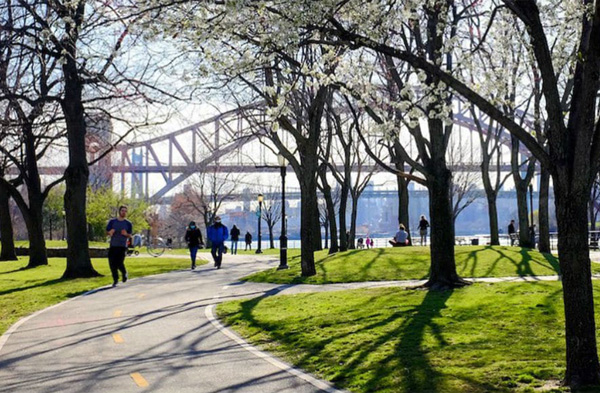 Security rising bollards for parks and other public places